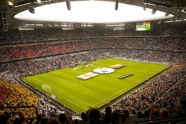 Renforcez vos bras : Guide essentiel de musculation pour les femmes